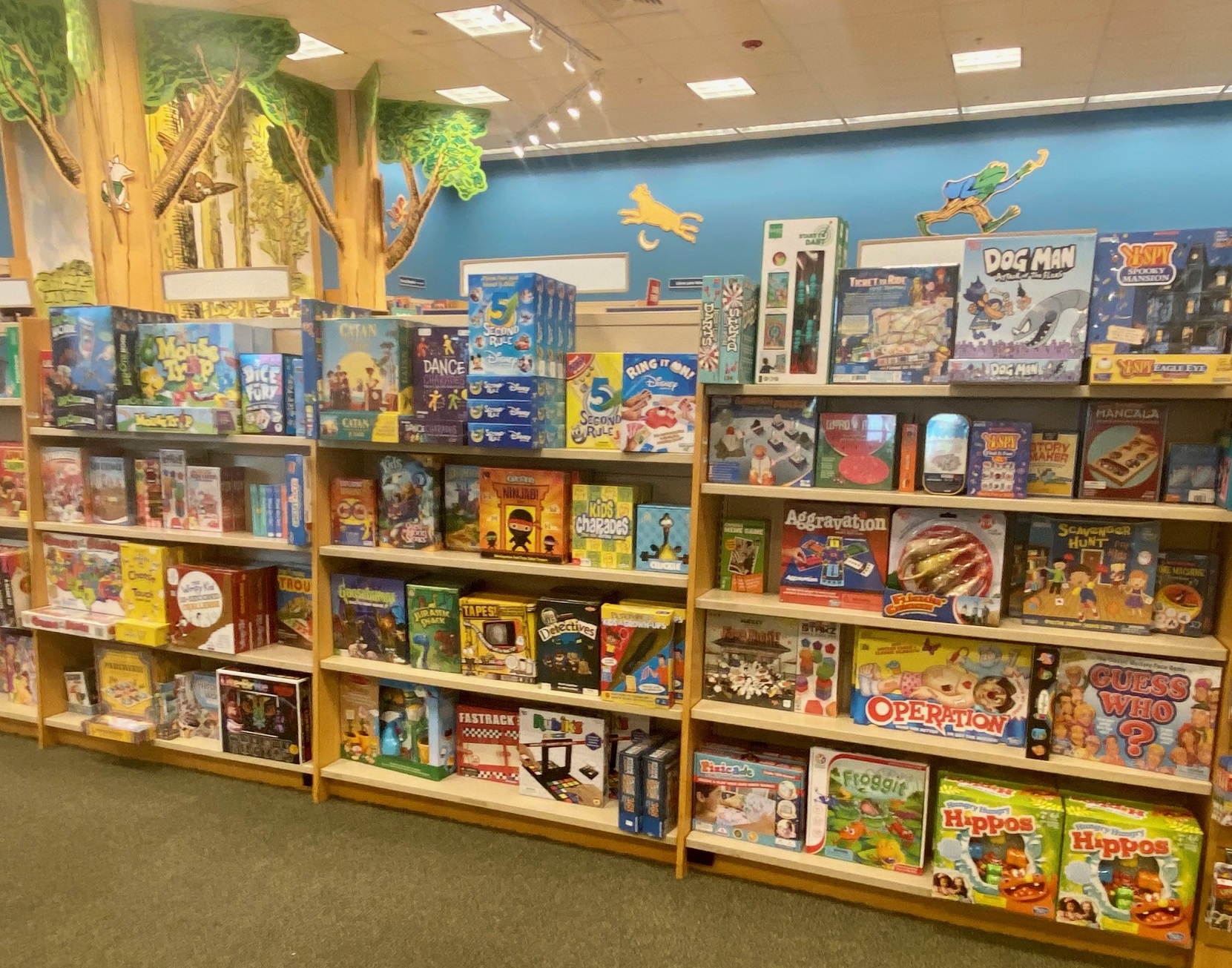 barnes and noble woodlandsmommy