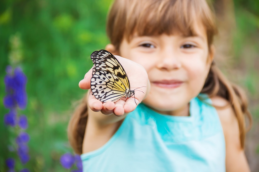 butterfly center