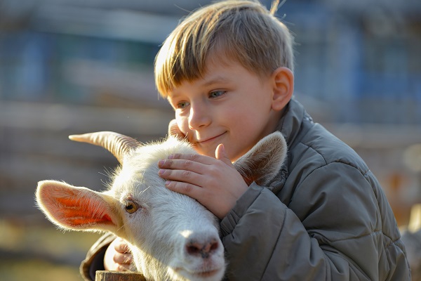 child and goat