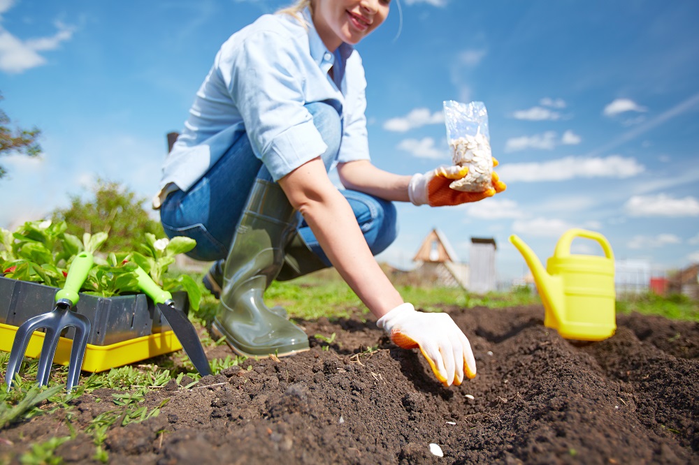 gardening autumn