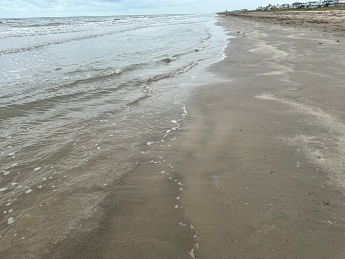 holidayinn woodlandsmommy20