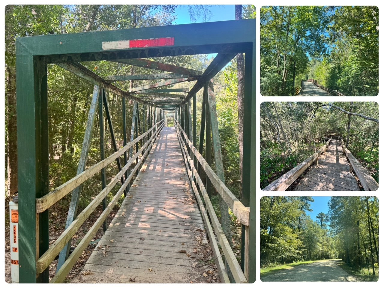 lhwp collage