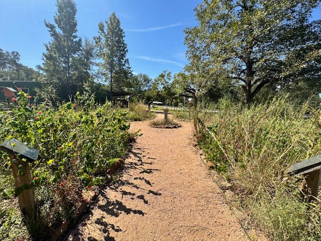 lhwp garden1