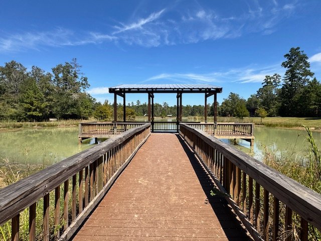 lhwp woodlandsmommy lake1