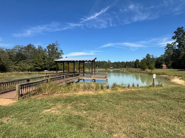 lhwp woodlandsmommy lake2