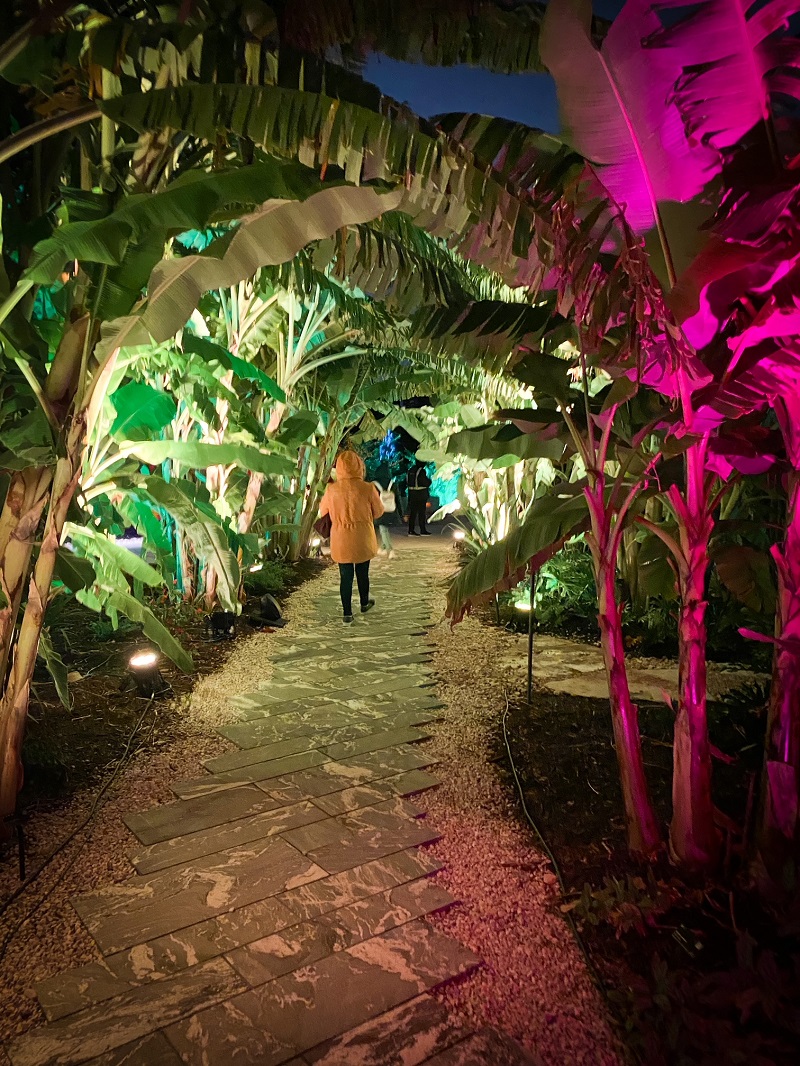 Editor's Review Lightscape at Houston Botanic Garden