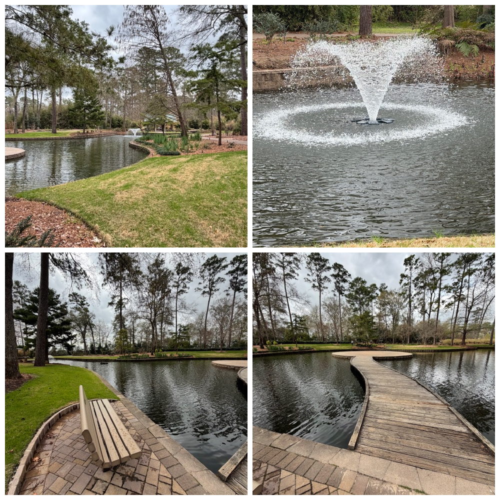 mercer37 woodlandsmommy