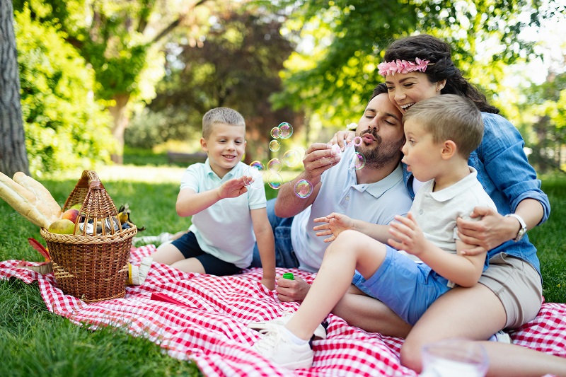 picnic