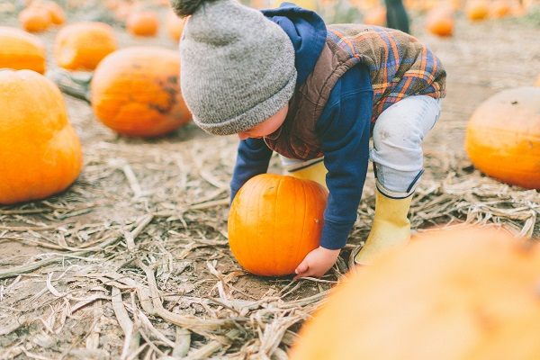 pumpkin pickup2