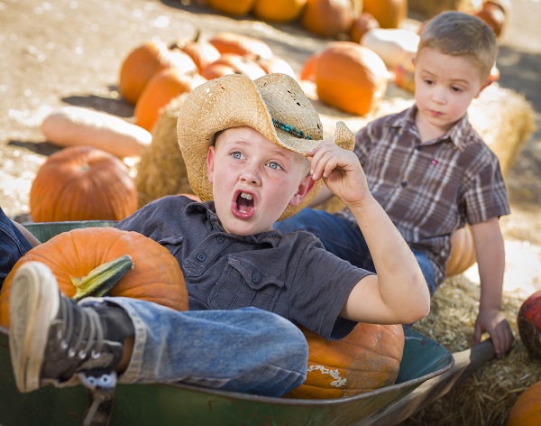 pumpkin wagon