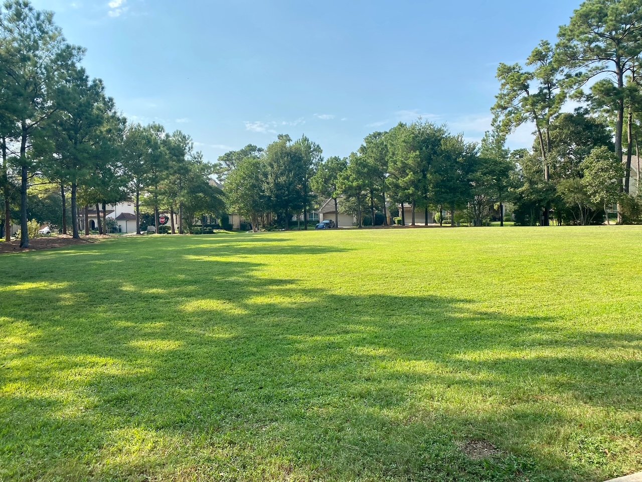 spincasterpark woodlandsmommy lawn