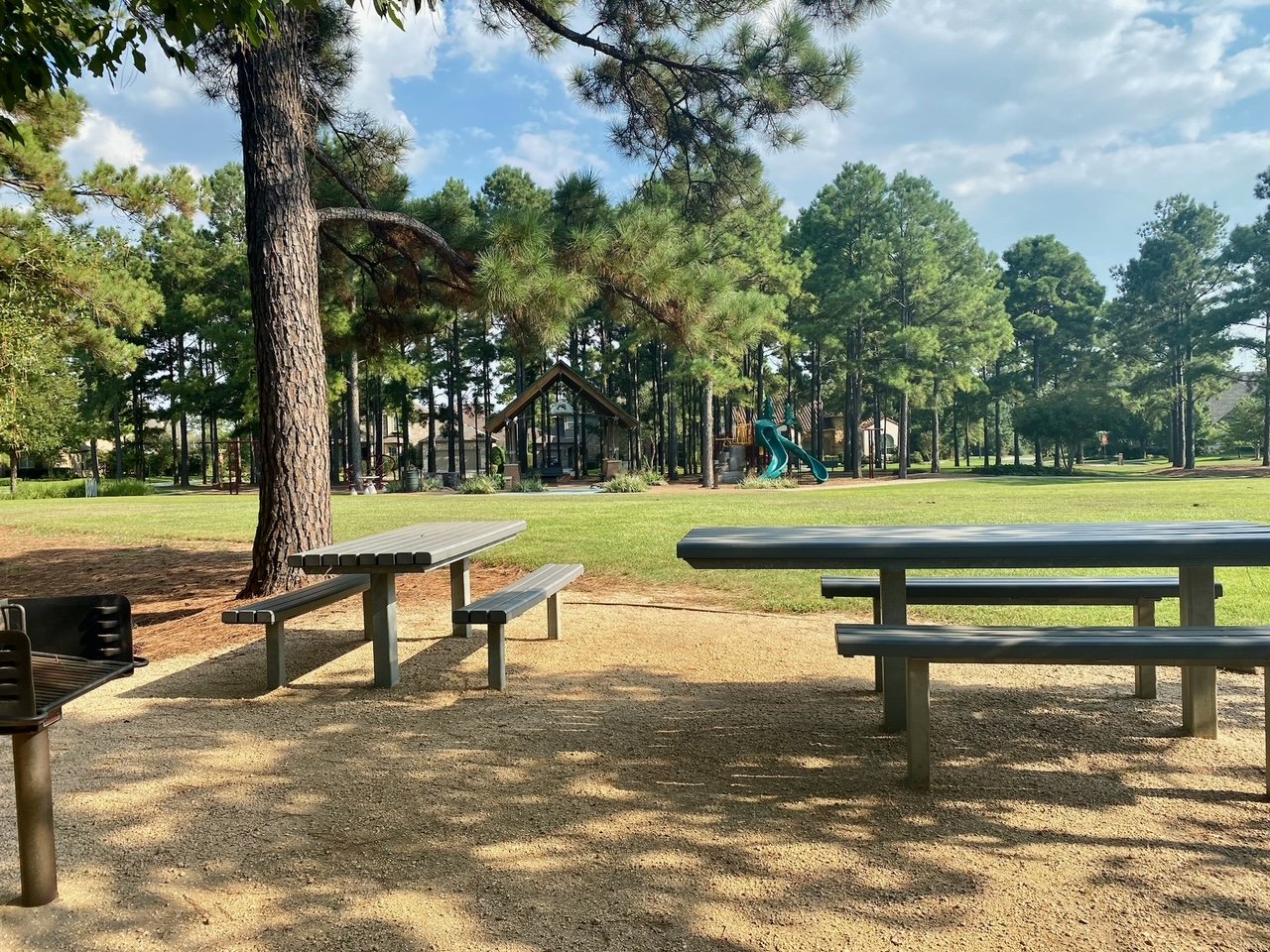 spincasterpark woodlandsmommy picnictables