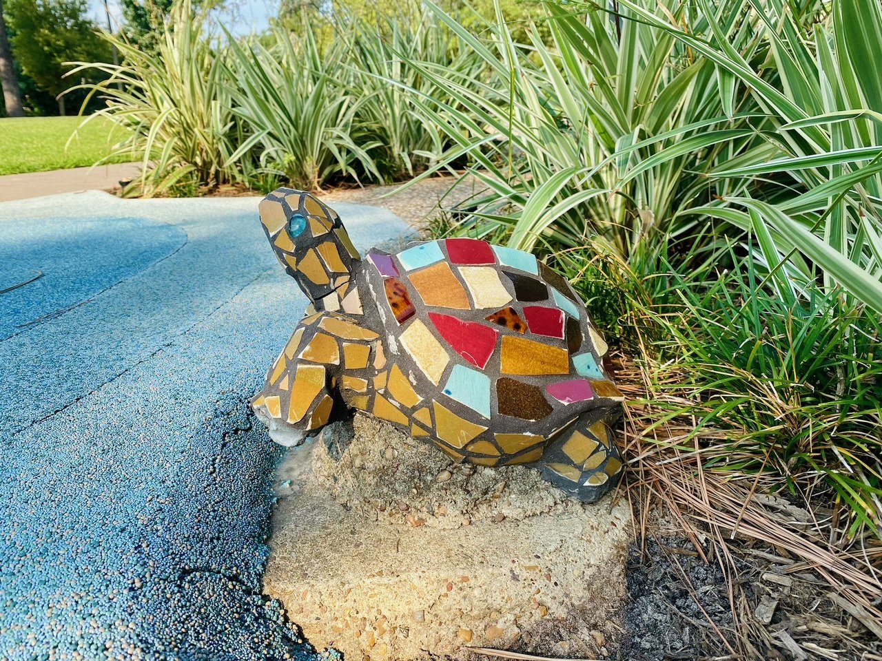 spincasterpark woodlandsmommy turtle