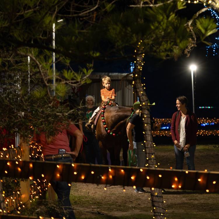 An Entire Holiday in One Park at Lone Star Lights - Plus SAVE $$ with our code!