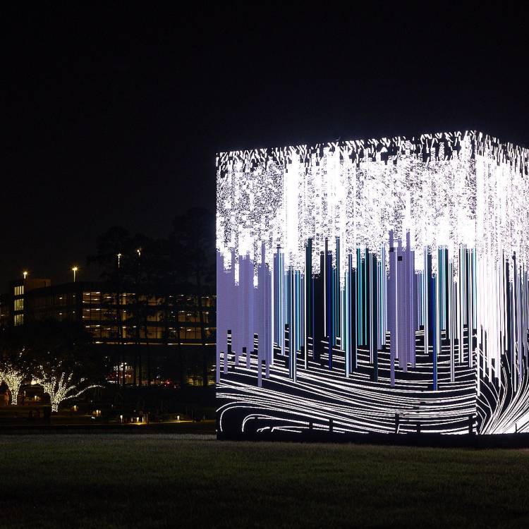 Interactive stunner art exhibit -  